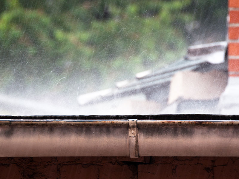 Gutter Cleaning