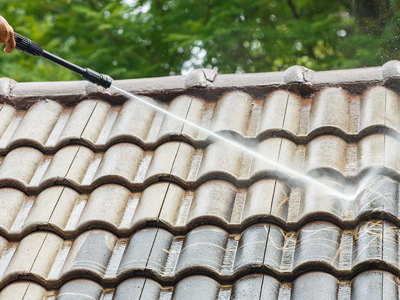 Roof Cleaning